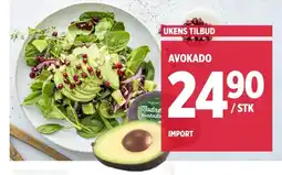 Meny Avokado tilbud