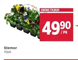 Meny Stemor tilbud
