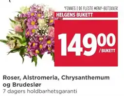 Meny Roser, Alstromeria, Chrysanthemum og Brudeslør tilbud