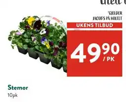 Jacobs Stemor tilbud