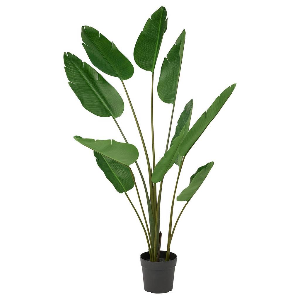 Fejka Kunstig potteplante, inne/ute Strelitzia nikolai, 23 cm tilbud hos  IKEA