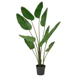 IKEA Fejka Kunstig potteplante, inne/ute Strelitzia nikolai, 23 cm tilbud