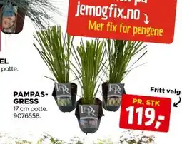 jem & fix PAMPASGRESS tilbud