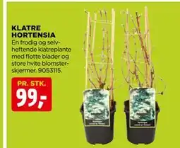 jem & fix KLATRE HORTENSIA tilbud
