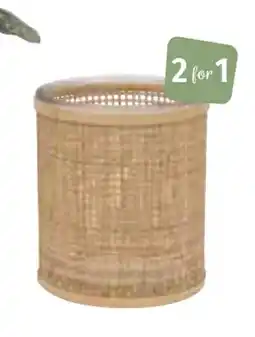 Nille Chez telysholder tilbud