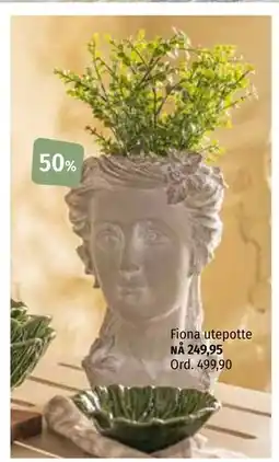 Nille Fiona utepotte tilbud