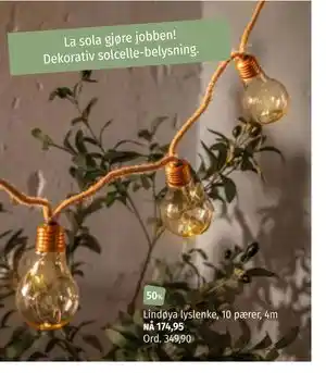 Lindøya lyslenke, 10 pærer, 4m