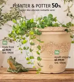 Nille PLANTER & POTTER tilbud