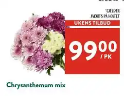 Jacobs Chrysanthemum mix tilbud