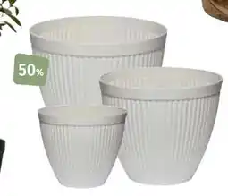 Nille Oxford utepotter tilbud