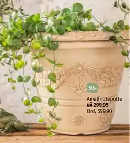 Nille Amalfi utepotte tilbud