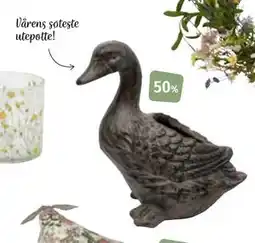 Nille Canard utepotte, 35cm tilbud