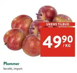 Jacobs Plommer tilbud