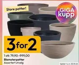 Gigaboks Blomsterpotter tilbud