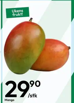 Gigaboks Mango tilbud