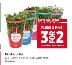 Meny Friske urter tilbud