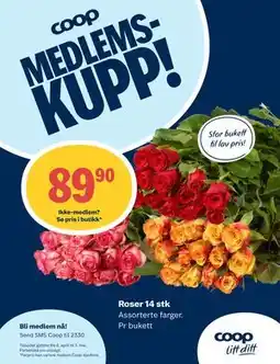 Matkroken Roser 14 stk, Medlemspris tilbud