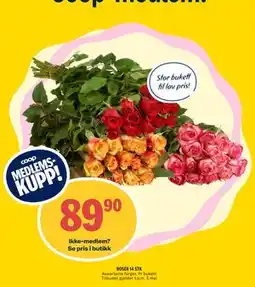 Coop Prix ROSER 14 STK., Medlemspris tilbud