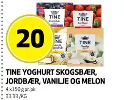 Bunnpris TINE YOGHURT SKOGSBÆR, JORDBÆR, VANILJE OG MELON tilbud