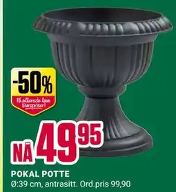 Europris POKAL POTTE tilbud