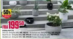 Europris SIENA POTTE tilbud