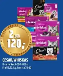 Coop Obs Cesar/whiskas tilbud