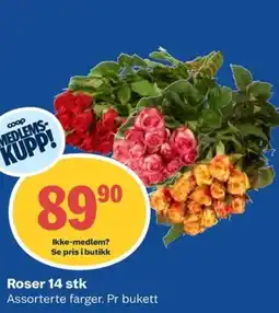 Coop Obs Roser 14 stk tilbud