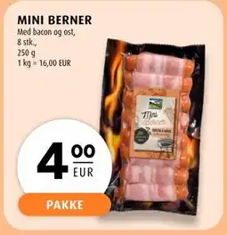 Scandinavian Park MINI BERNER, EUR 4 tilbud