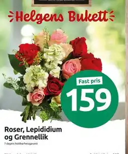 Joker Roser, Lepididium og Grennellik tilbud
