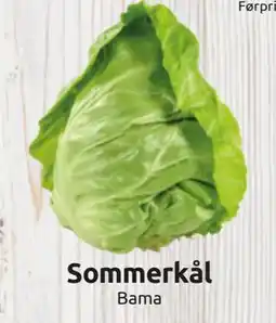 Joker Sommerkål tilbud