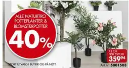 Sparkjøp ALLE NATURTRO POTTEPLANTER & BLOMSTERPOTTER tilbud