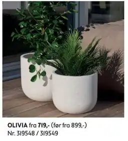 Bohus OLIVIA tilbud