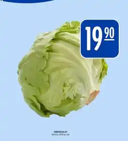 Rema 1000 ISBERGSALAT tilbud