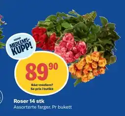 Coop Obs Roser 14 stk, Medlemspris tilbud