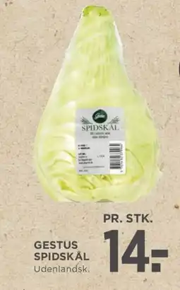 Meny Gestus spidskål tilbud