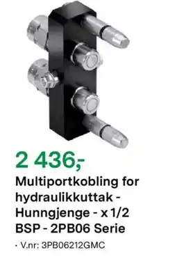 Felleskjøpet Multiportkobling for hydraulikkuttak - Hunngjenge - x 1/2 BSP-2PB06 Serie tilbud