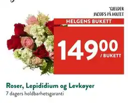 Jacobs Roser, Lepididium og Levkøyer tilbud