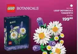 Lekia LEGO BOTANICALS TUSENFRYD tilbud