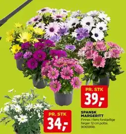 jem & fix SPANSK MARGERITT tilbud