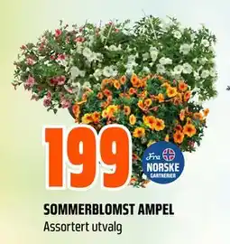 Obs Bygg SOMMERBLOMST AMPEL tilbud