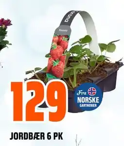 Obs Bygg JORDBÆR 6 PK tilbud