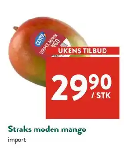 Jacobs Straks moden mango tilbud