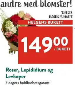 Jacobs Roser, Lepididium og Levkøyer tilbud