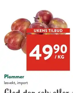 Jacobs Plommer tilbud