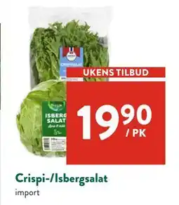 Jacobs Crispi-/Isbergsalat tilbud