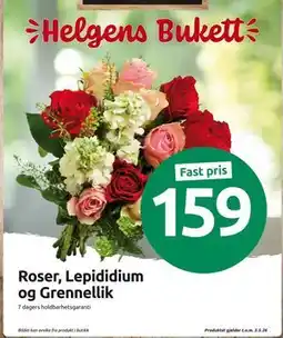 Joker Roser, Lepididium og Grennellik tilbud