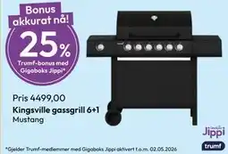 Gigaboks Kingsville gassgrill 6+1 tilbud