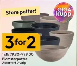 Gigaboks Blomsterpotter tilbud