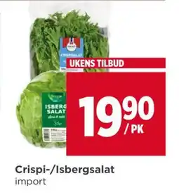 Meny Crispi-/Isbergsalat tilbud