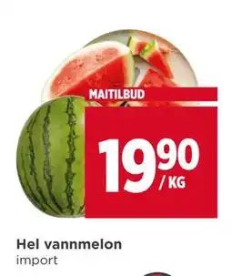 Meny Hel vannmelon tilbud
